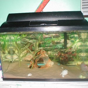 Fish__012.jpg