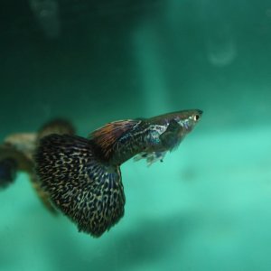 IMG_6576.JPG