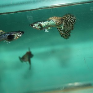 IMG_6590.JPG