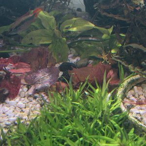IMG_1865.JPG