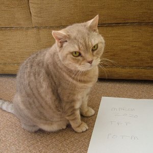 Leo.JPG