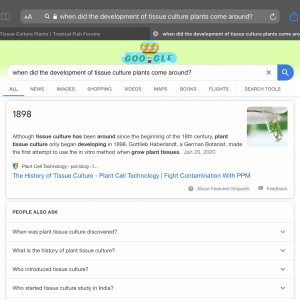 013C640C-83B9-4C52-AD53-23C26A8CA427.png