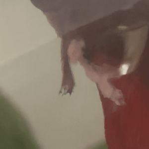 022491CE-A712-4431-9372-5FA34B8F0EB9.png