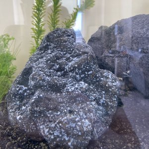 IMG_6862.jpg