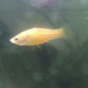 F95CC848-73BA-4EB4-AF22-E7AEEB11CC54.jpeg