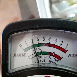 15893249892742797538416810969827.jpg