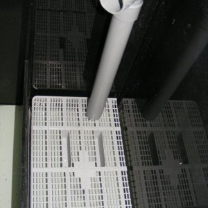DSCF9215.JPG