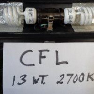 CFL 1.jpg