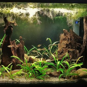 20g May 25 2020.jpg