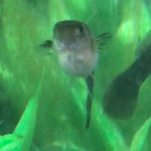 IMG_1118.jpeg