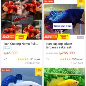 Screenshot_2020-05-27-10-42-09-954_com.shopee.id.jpg