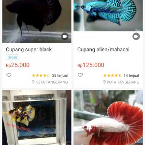 Screenshot_2020-05-27-10-42-31-872_com.shopee.id.jpg
