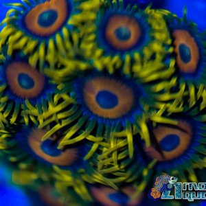 A8C62133-7D5A-46C8-910A-5AB668A99500.jpeg