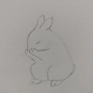 Bunny Drawing.jpg
