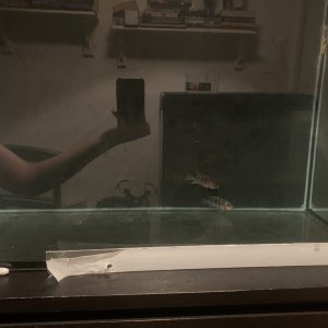 F66976CB-C99E-47F9-BE81-3E82952E9872.jpeg