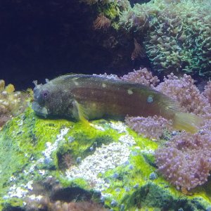 20191026_200555.jpg