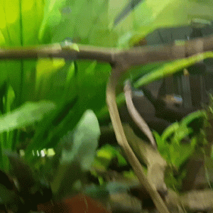 20200518_224812_1.gif