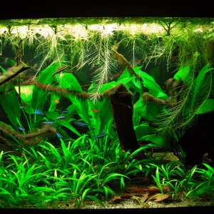 Nov 22-16 (2).JPG