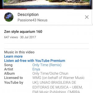 Screenshot_20200622-005502_YouTube.jpg