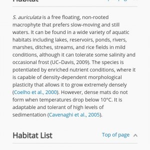 Screenshot_20200624-172011_Chrome.jpg
