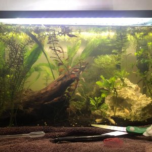 tank10gal.jpg