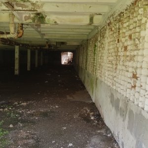 20170626_105008_HDR.jpg