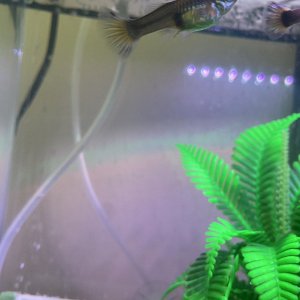 D28E1178-531D-4269-80A4-D3CD07D66383.jpeg