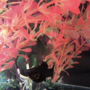 2FDF771E-3D87-42CC-BBC8-B25C0371339E.jpeg