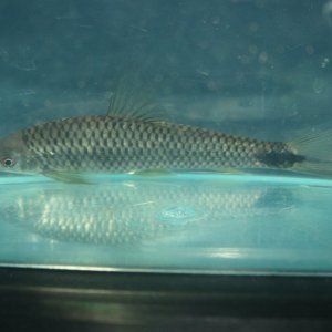 IMG_1128.JPG