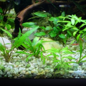DSCF1166.JPG