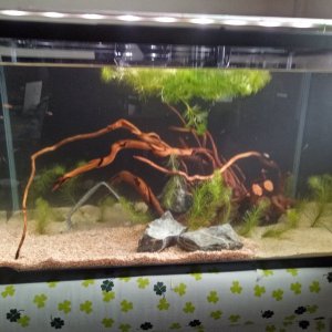 Tank 2_initial stage_2.jpg