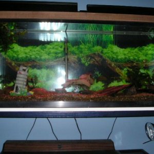 Andrews_tank_035.jpg