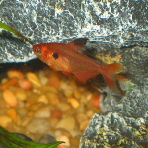 fishphotos2004_029.jpg