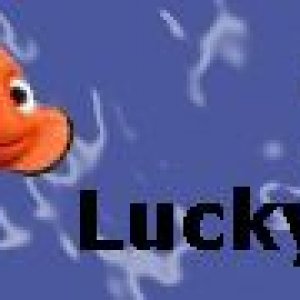 luckyfin2.jpg