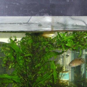 BRYAN_FAMILY_pets_052.jpg