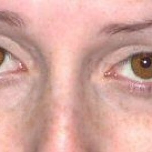 closeup_honey_eyes2.jpg
