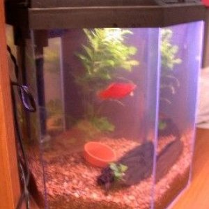5gallon2.JPG