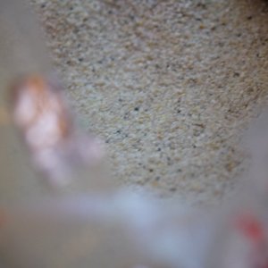 DSCF1200.JPG