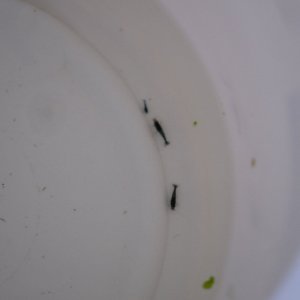 DSCF1252.JPG