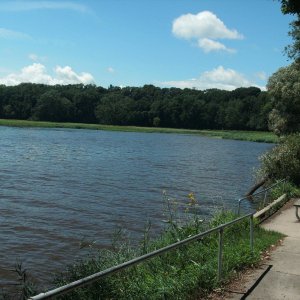 GEDC1470.JPG