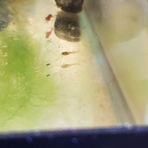20200801_131239.jpg