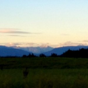 20200802_215814.jpg