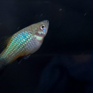 20200805_182041(0).jpg