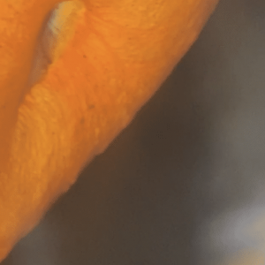 ECBAAC59-727B-46D1-BF4A-176B6B893877.png