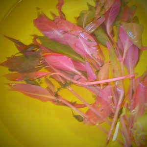 DSCF1529.JPG