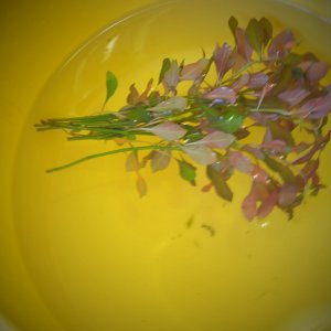 DSCF1559.JPG
