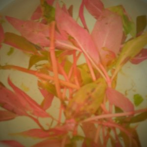 DSCF1585.JPG