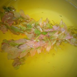 DSCF1551.JPG