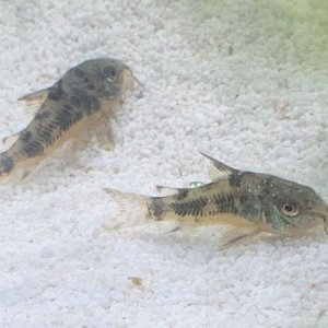 IMG_9640.jpg