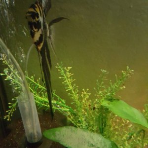 20200824_210157.jpg